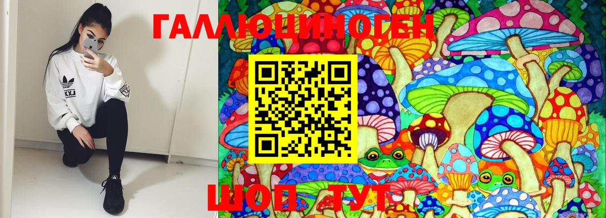 Кумертау  Псилоцибиновые грибы Psilocybe  Вход с VPN 